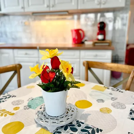 Le Neptune, Calme, Centre-ville Lägenhet